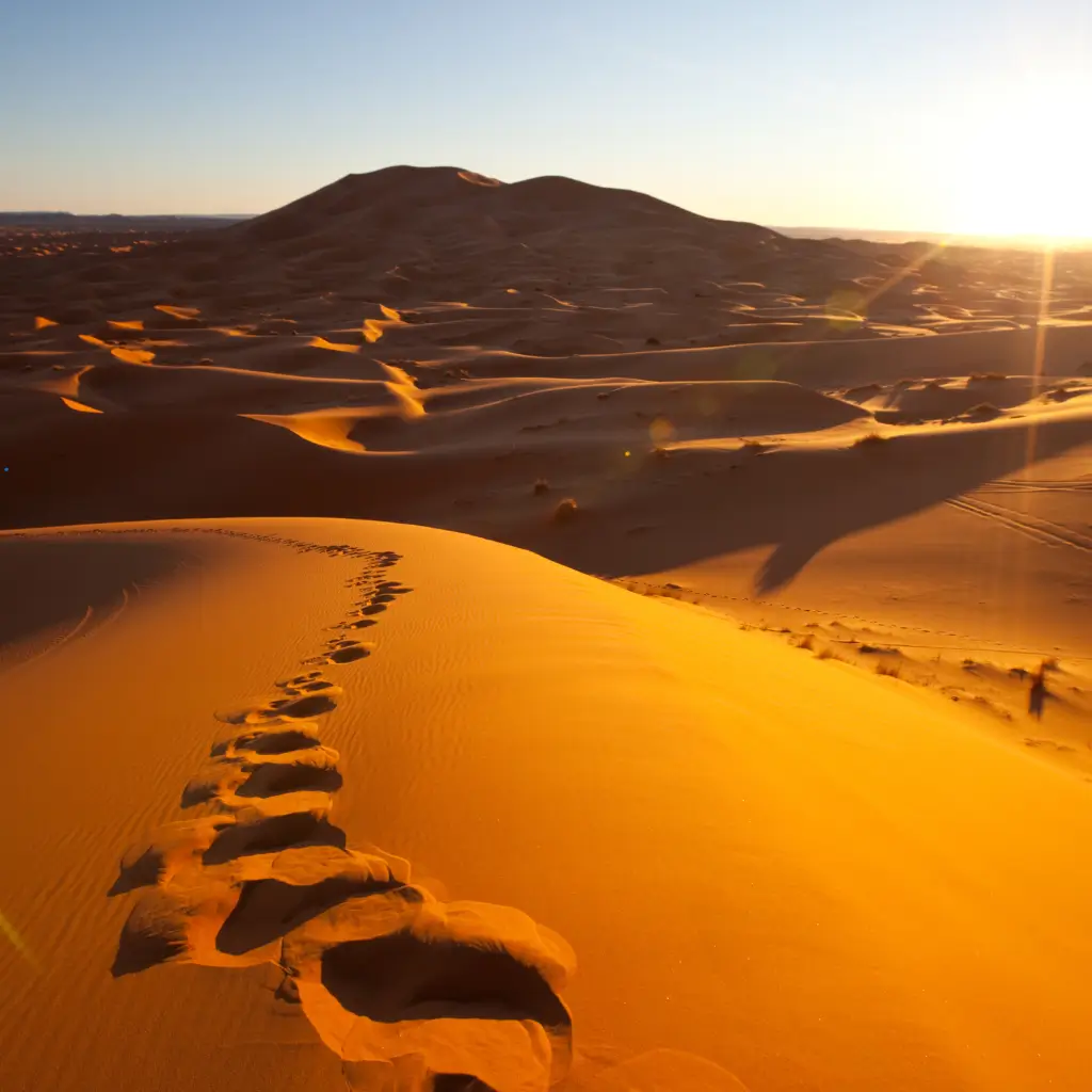 Footprints left by participants of the Marathon des Sables.